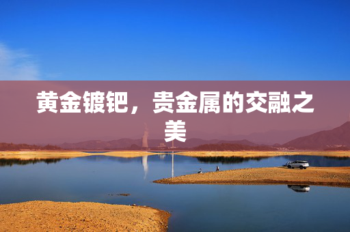 黄金镀钯，贵金属的交融之美
