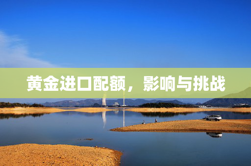 黄金进口配额，影响与挑战