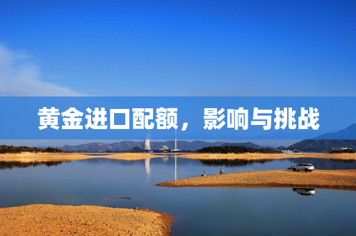 黄金进口配额，影响与挑战