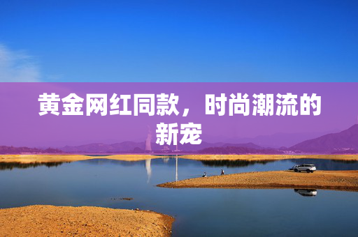 黄金网红同款，时尚潮流的新宠