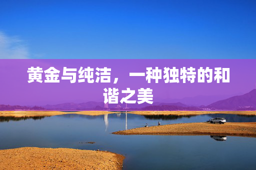 黄金与纯洁，一种独特的和谐之美