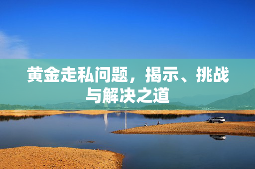 黄金走私问题，揭示、挑战与解决之道